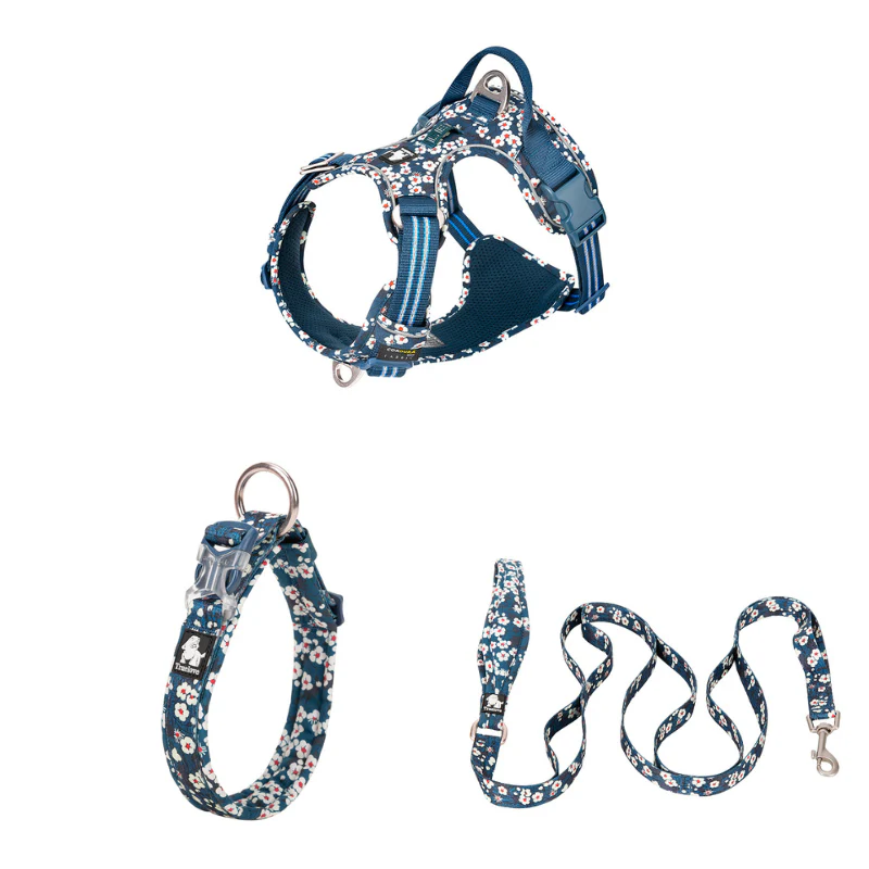 Ergonomiskt Hundset – Antidragsele, Justerbart Halsband & Koppel med Flera Handtag