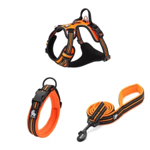 Ergonomiskt Promenadset för Hund – Sele, Halsband & Koppel med Reflex och Antidrag