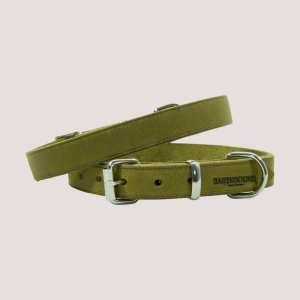 Earthbound Leather Dog Collar