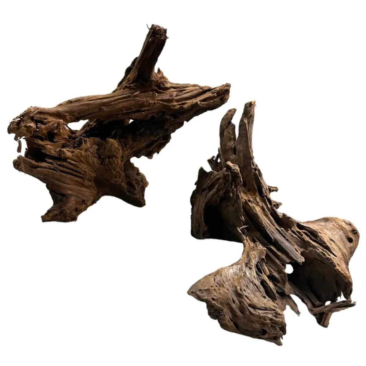 Malaysian Wood - Bild 3