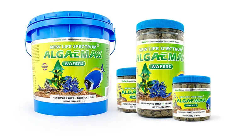New Life Spectrum AlgaeMax - Snail Algae Wafers - Bild 2