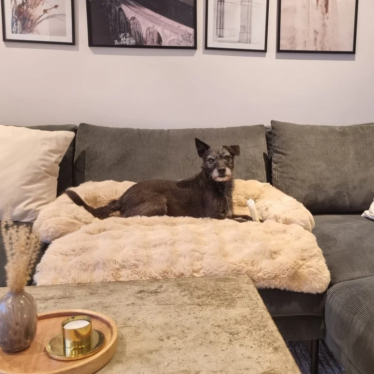 Hundnästets Lounge bed - Bild 8