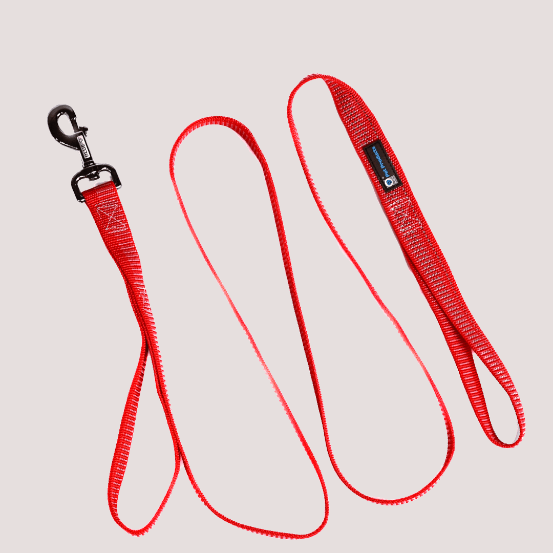 Blue-9 Reflective 6′ Lead - Bild 3