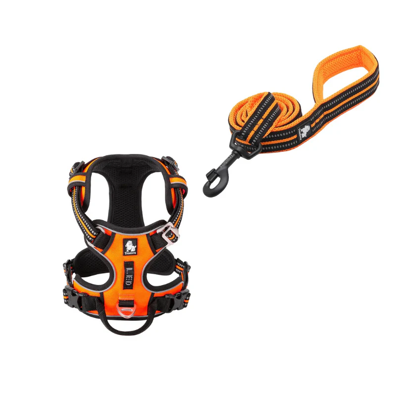 Ergonomiskt Promenadset med Antidrag-Sele & Antislip-Koppel - Orange