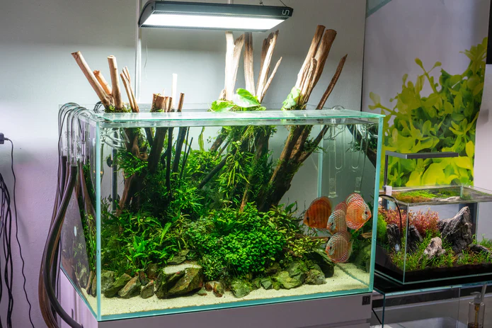 Ultum Nature Systems Titan 1 LED Light - Bild 8