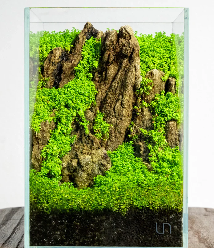 UNS 16T - 1.6 Gallon Ultra Clear Rimless Aquarium - Bild 3