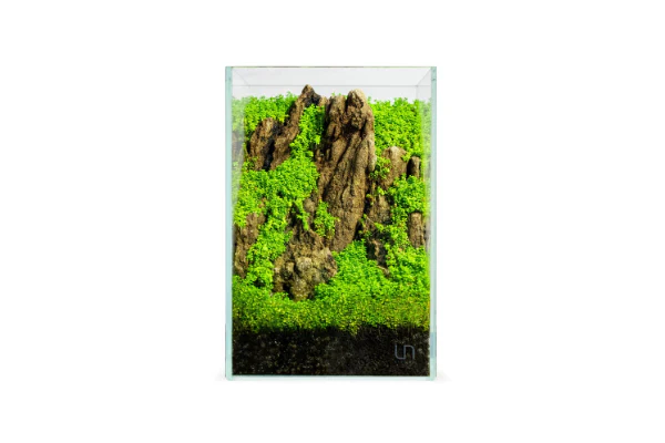 UNS 16T - 1.6 Gallon Ultra Clear Rimless Aquarium - Bild 5