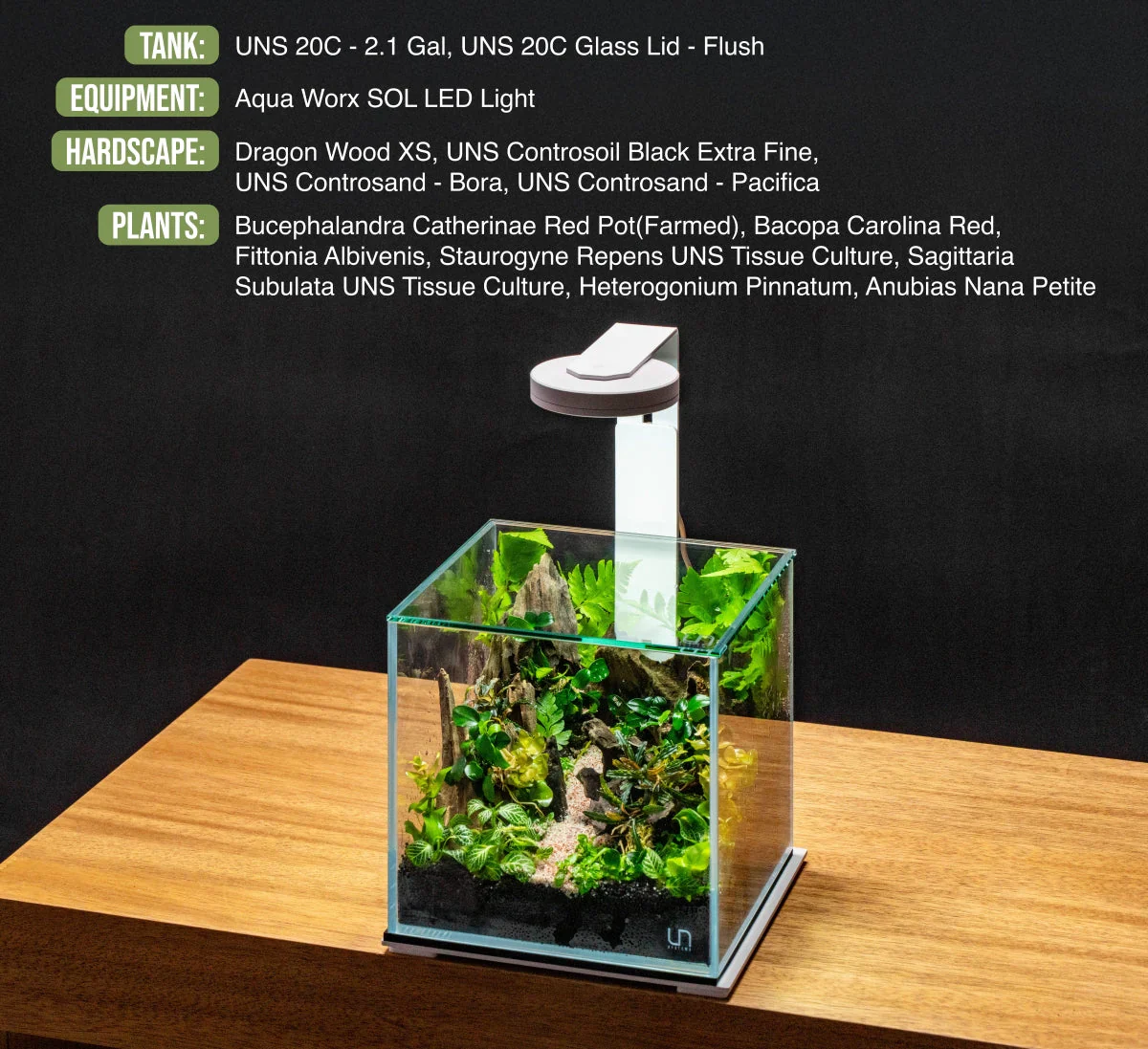 UNS 20C - 2.1 Gallon Ultra Clear Rimless Aquarium - Bild 5
