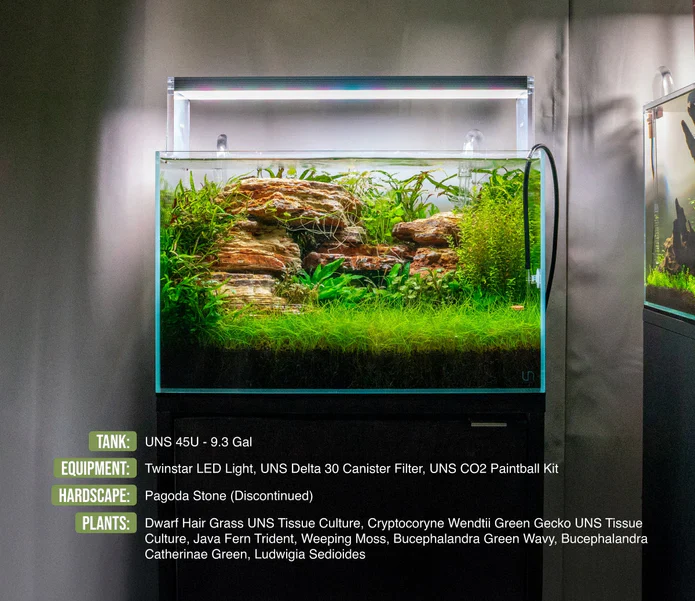 UNS 45U - 9.3 Gallon Ultra Clear Rimless Aquarium - Bild 7