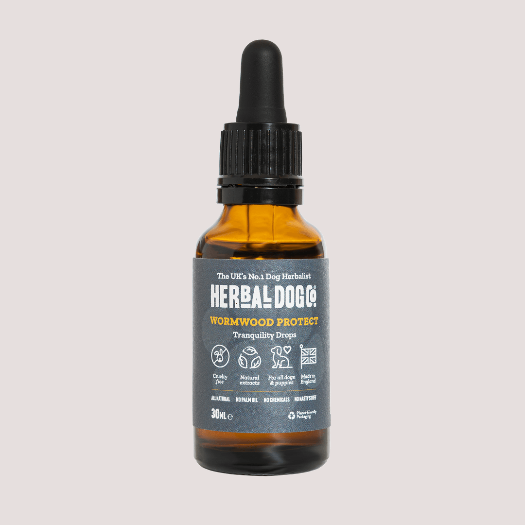 Herbal Dog Co. Wormwood Protect For Dogs 30ml